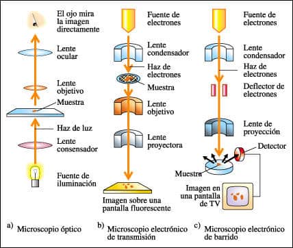 Métodos de estudio de la célula