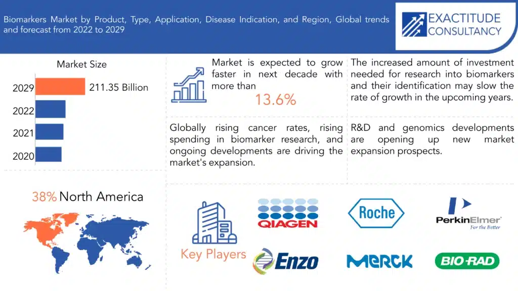 Informe de crecimiento, participación y tamaño del mercado de ...