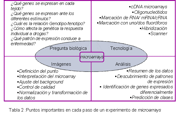 Aplicaciones de la técnica de microarrays en ciencias biomédicas ...