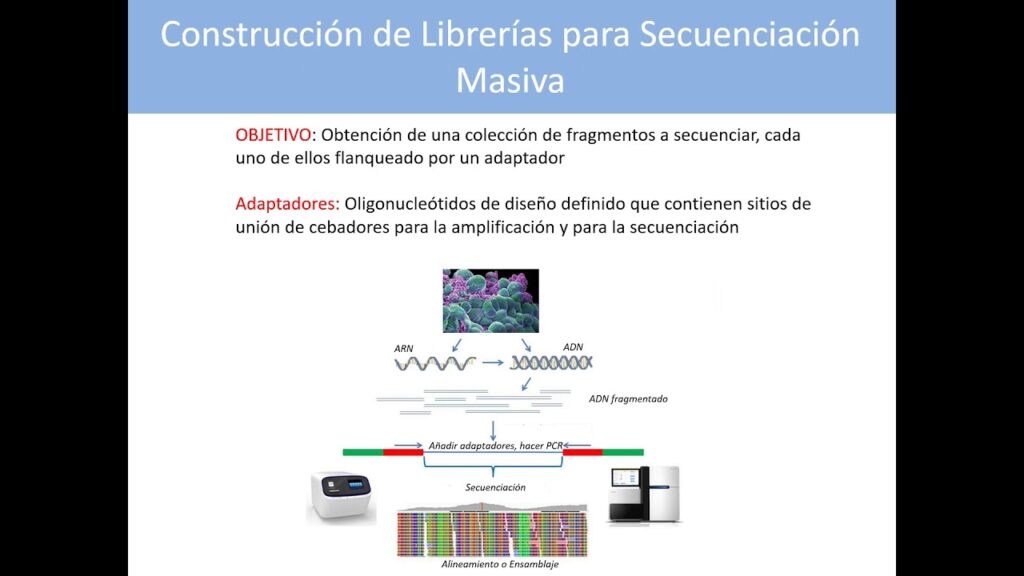 Pasos Básicos en la Construcción de Librerías para Secuenciación Masiva | |  UPV