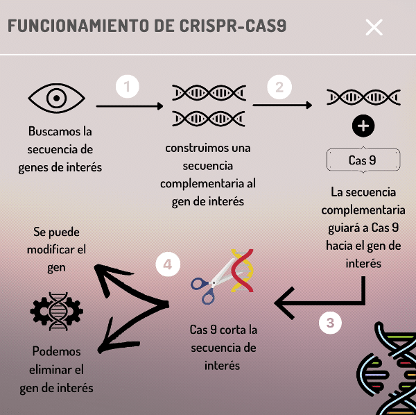 Funcionamiento y aplicaciones de las nuevas técnicas de edición ...