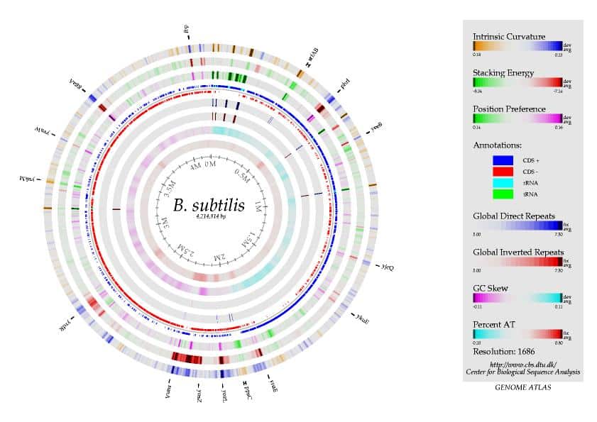 Computational Gene Identification