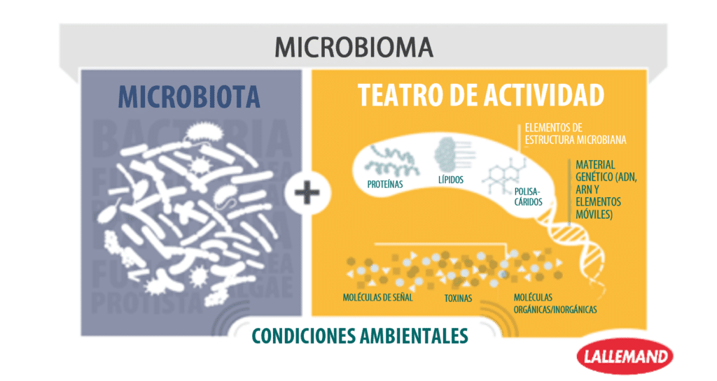 Microbiota o microbioma? | Lallemand Animal Nutrition