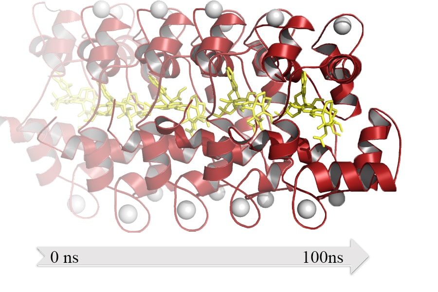 Simulaciones de Dinámica Molecular | Modelaje Molecular