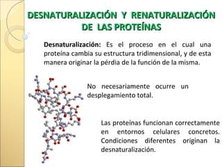 Desnaturalización de las, proteínas, y proteínas plasmáticas | PPT