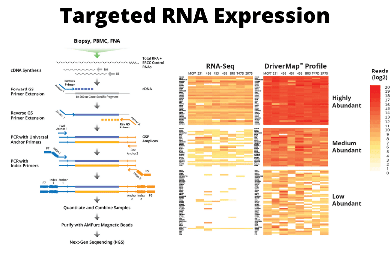 Alternativa al RNA-seq: Expresión de ARN dirigida