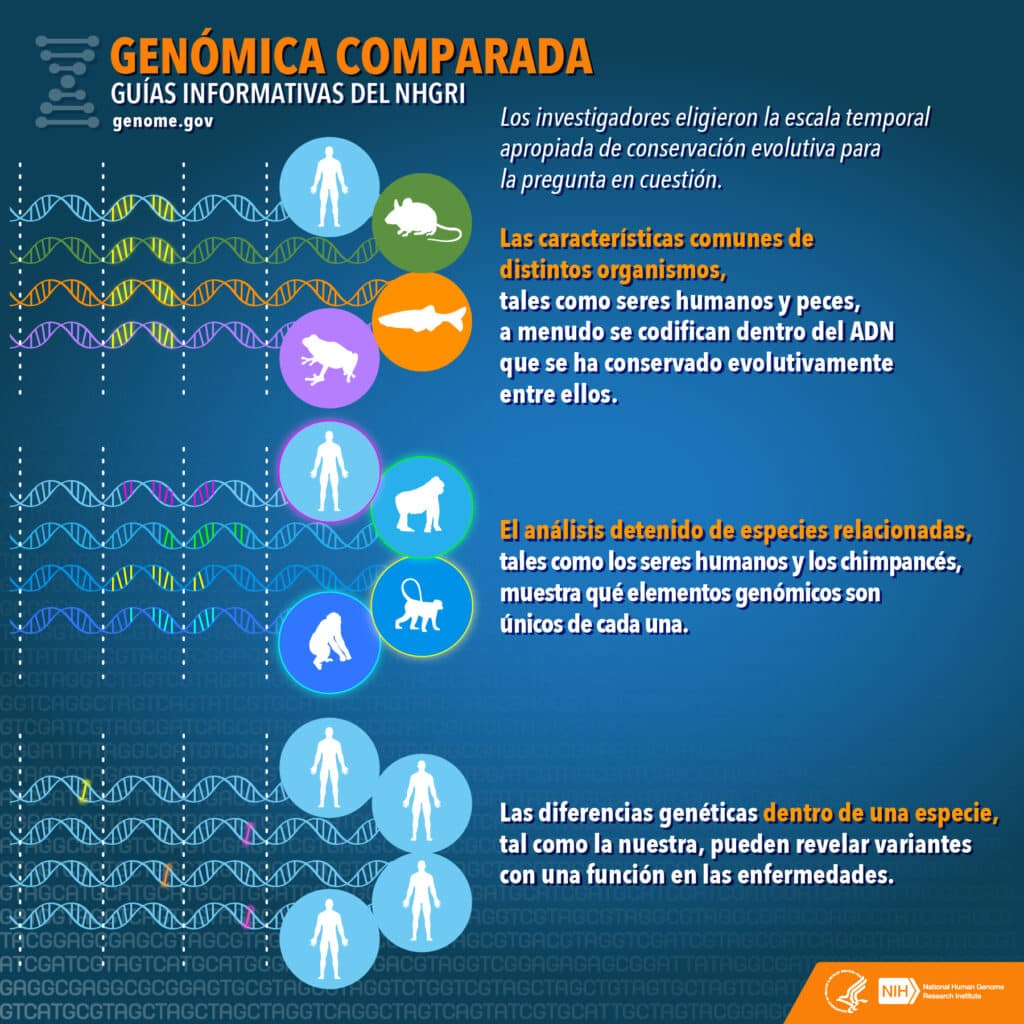 Genómica comparada