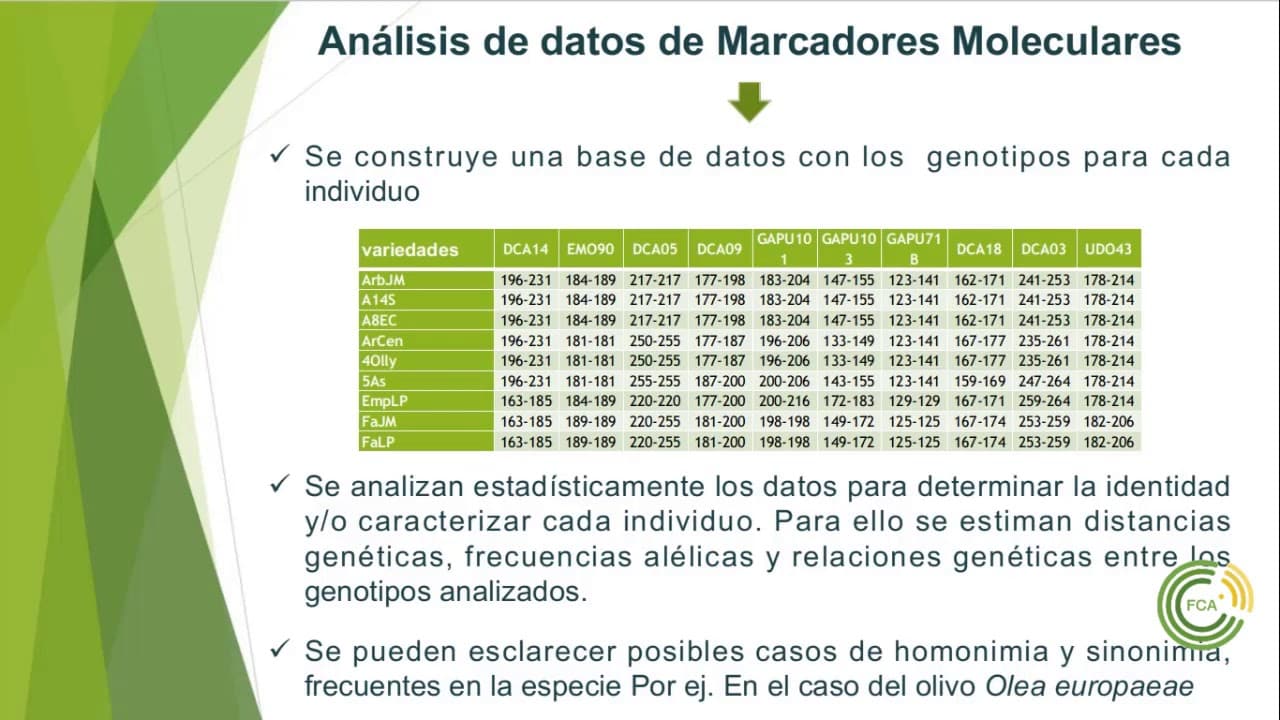 Marcadores Genéticos: Análisis de datos - Selección asistida por marcadores