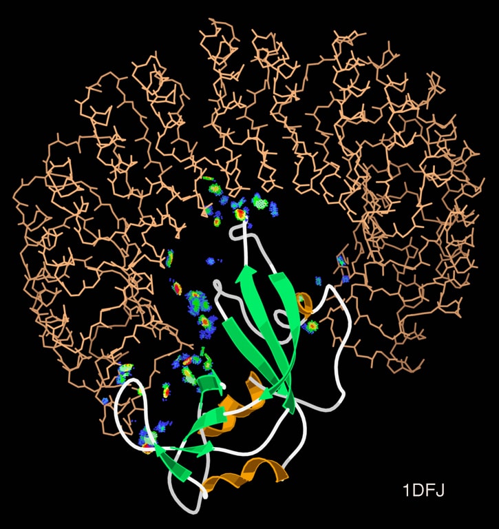 Interacciones proteína-proteína - Wikipedia, la enciclopedia libre