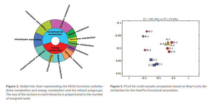 Análisis metagenómico de la microbiota- Ibiantechnologies