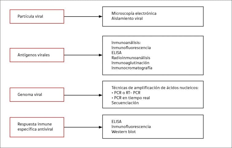 LABORATORIO DE VIROLOGÍA EN LA PRÁCTICA CLÍNICA - ScienceDirect