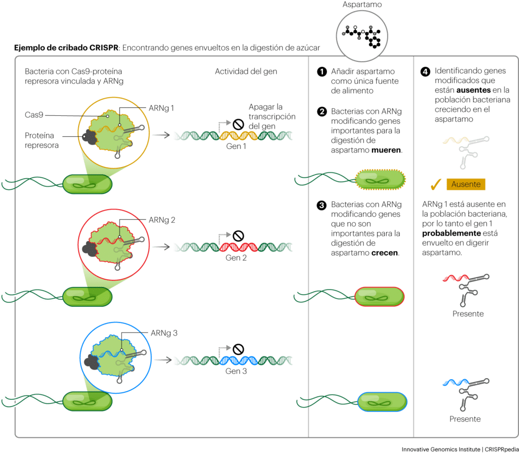 Tecnología CRISPR - CRISPRpedia