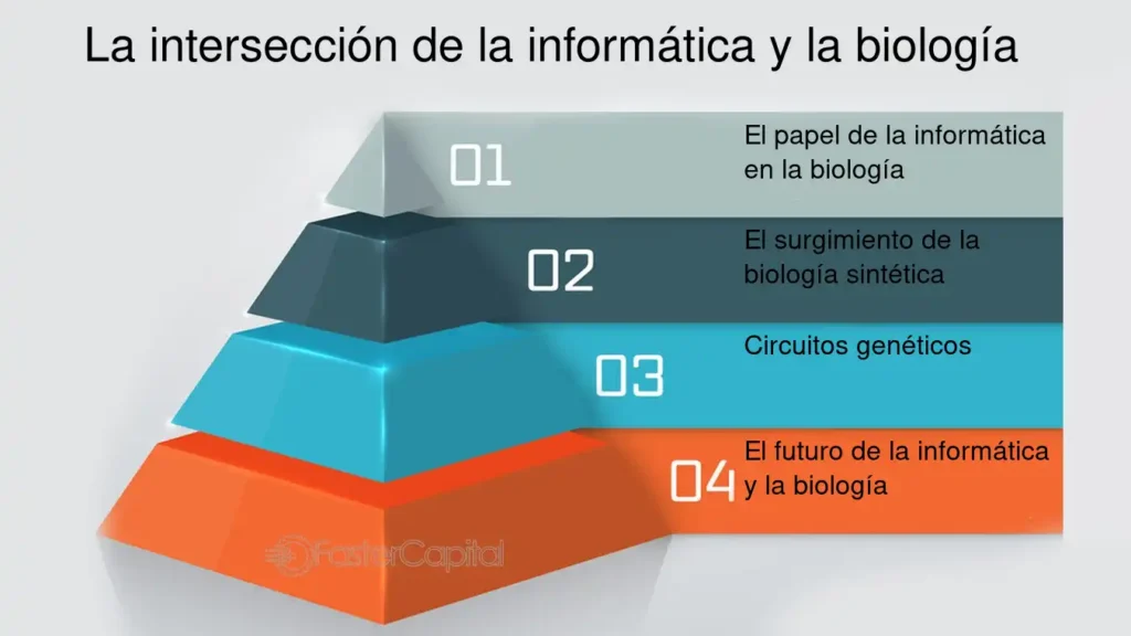 La Intersección De La Informática Y La Biología De Sistemas ...