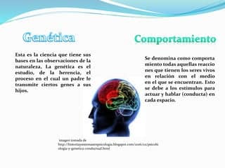 Relaciona entre genética y comportamiento | PPT