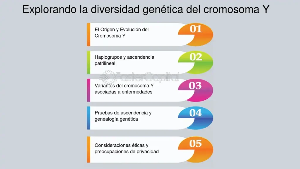 Mas alla de lo binario explorando la variabilidad del cromosoma Y ...