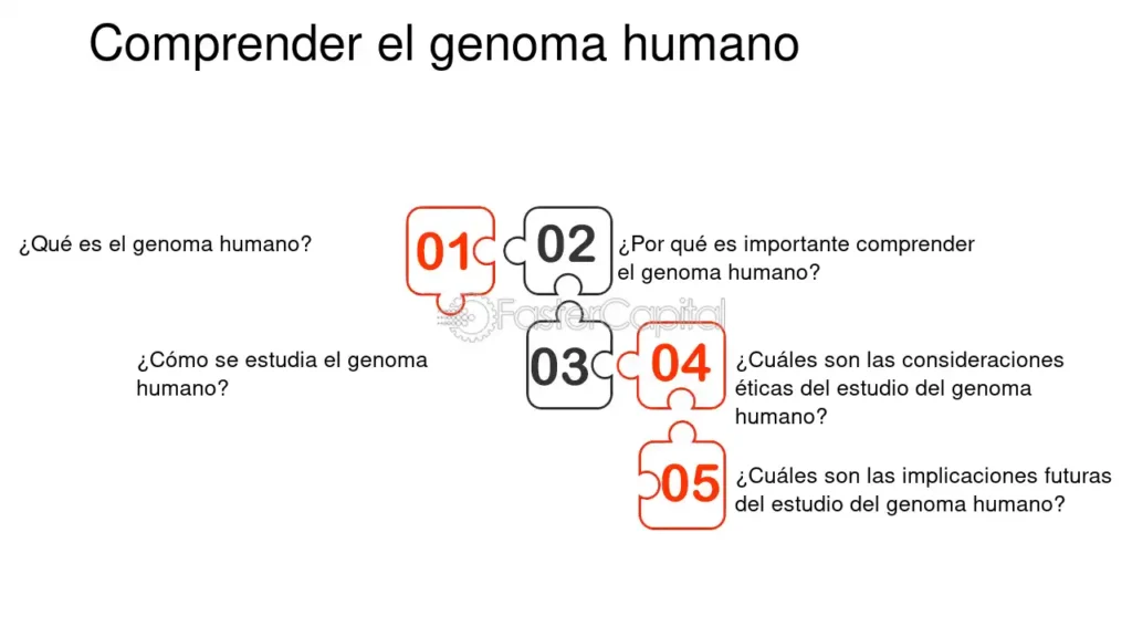 Desentrañando El Genoma Humano - FasterCapital