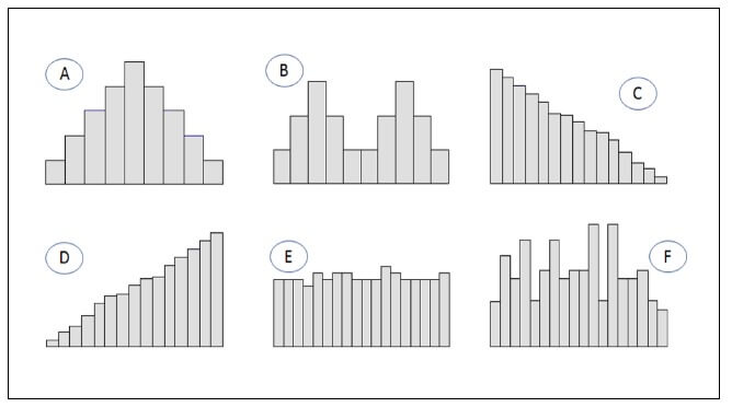 Uso de histogramas en el análisis de datos en una auditoría