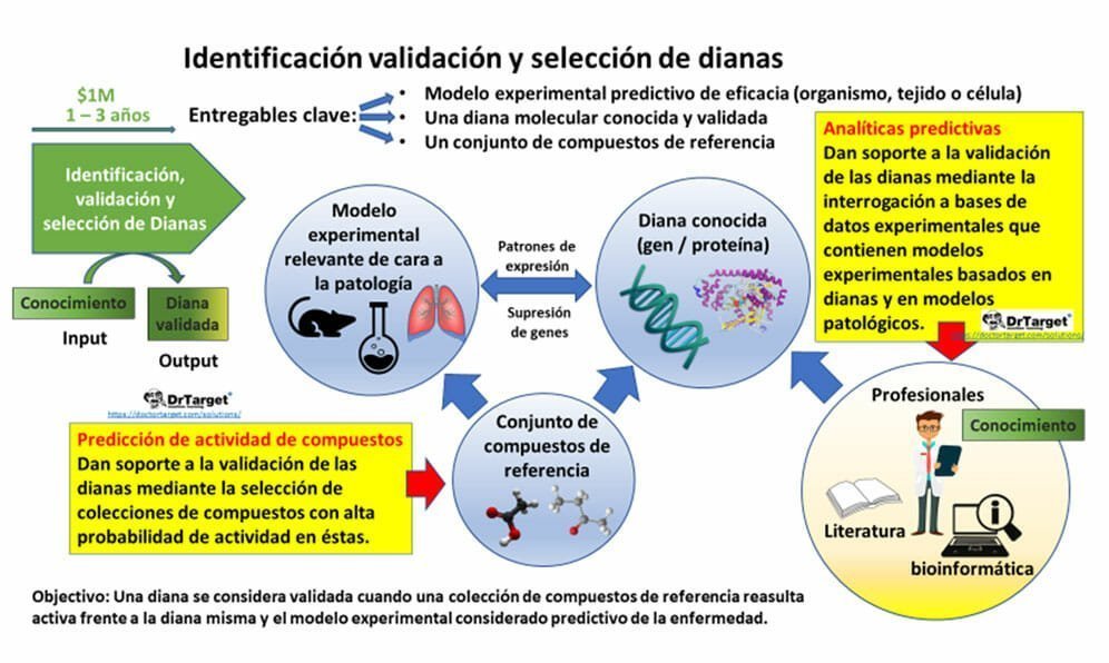 Machine Learning aplicado al descubrimiento de fármacos »