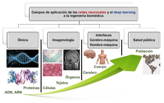 Aplicaciones de las redes neuronales y el deep learning a la ...