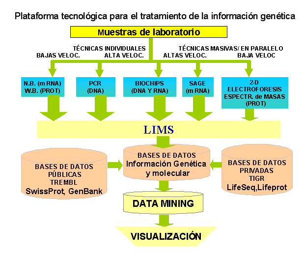 Informática y Salud Nº 19 - Bioinformática y Salud