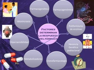 Factores que Modifican Respuesta a fármacos | PPT