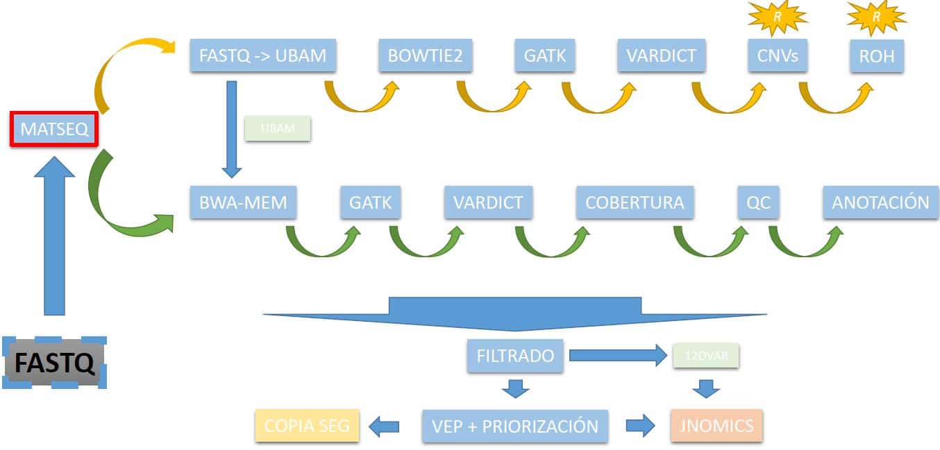 LA BIOINFORMÁTICA EN LA INTERPRETACIÓN DE LA SECUENCIACIÓN MASIVA ...